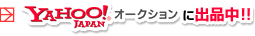YAHOO!�I�[�N�V�����ɏo�i���I